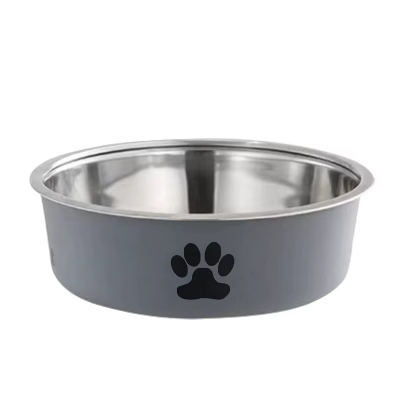 Colorful Stainless Steel Pet Bowl